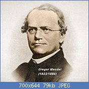 Cliquez sur l'image pour la voir en taille relle

Nom : 3-gregor-mendel-father-of-genetics-science-source.jpg
Affichages : 669
Taille : 78,9 Ko
ID : 100144